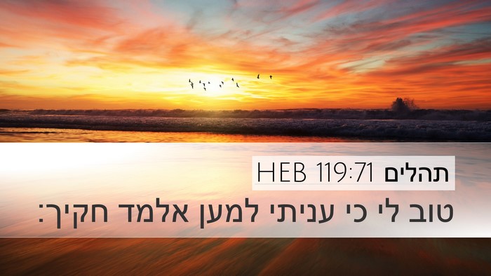 תהלים 119:71 HEB Bible Verse Image