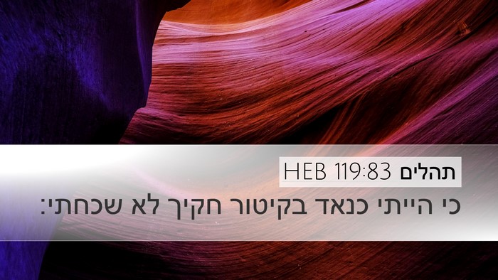 תהלים 119:83 HEB Bible Verse Image