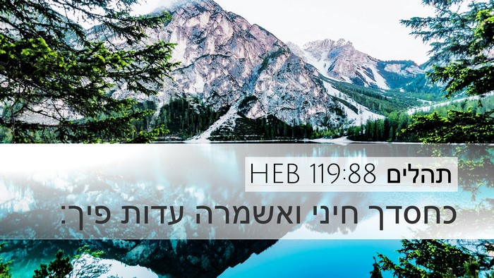 תהלים 119:88 HEB Bible Verse Image