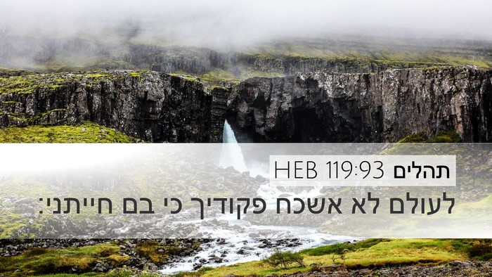 תהלים 119:93 HEB Bible Verse Image