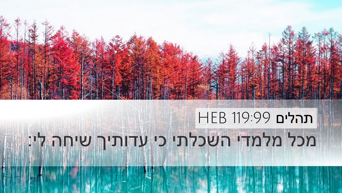 תהלים 119:99 HEB Bible Verse Image