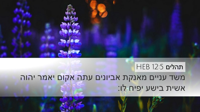 תהלים 12:5 HEB Bible Verse Image