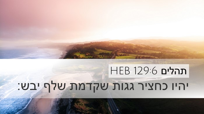 תהלים 129:6 HEB Bible Verse Image
