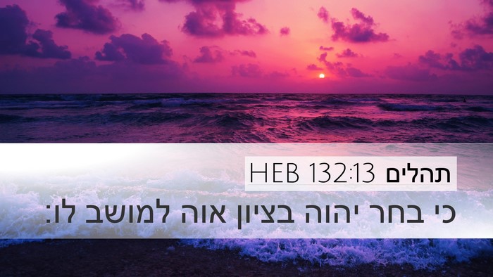 תהלים 132:13 HEB Bible Verse Image