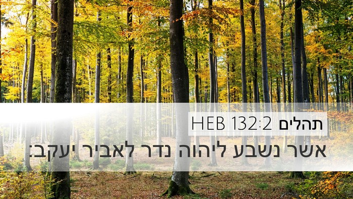תהלים 132:2 HEB Desktop Wallpaper - אשר נשבע ליהוה נדר לאביר - Desktop Bible Verse Wallpaper