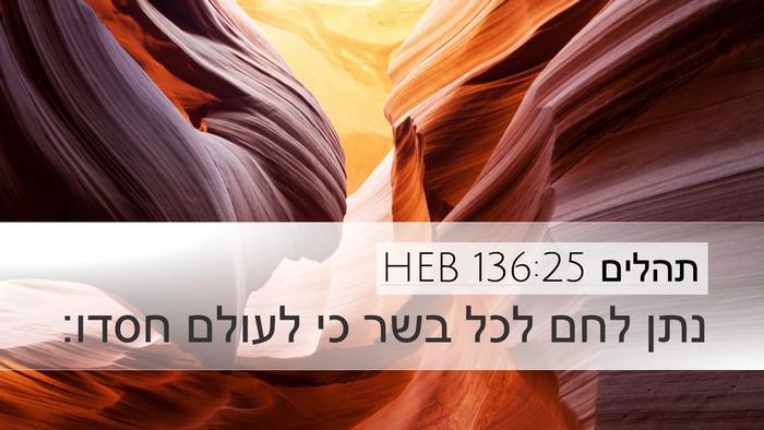 תהלים 136:25 HEB Bible Verse Image