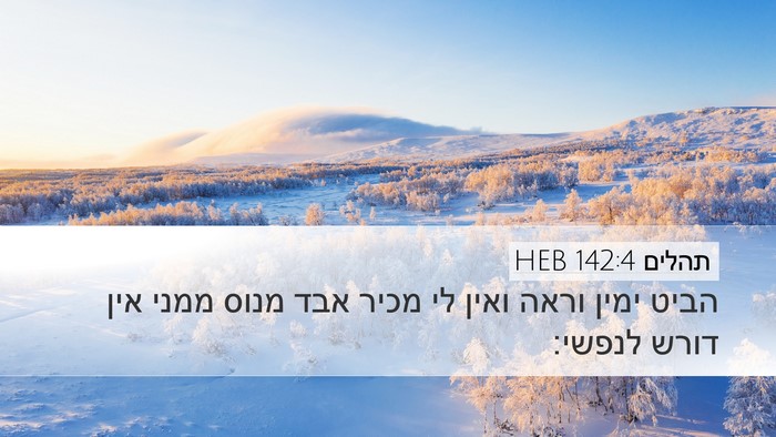 תהלים 142:4 HEB Bible Verse Image