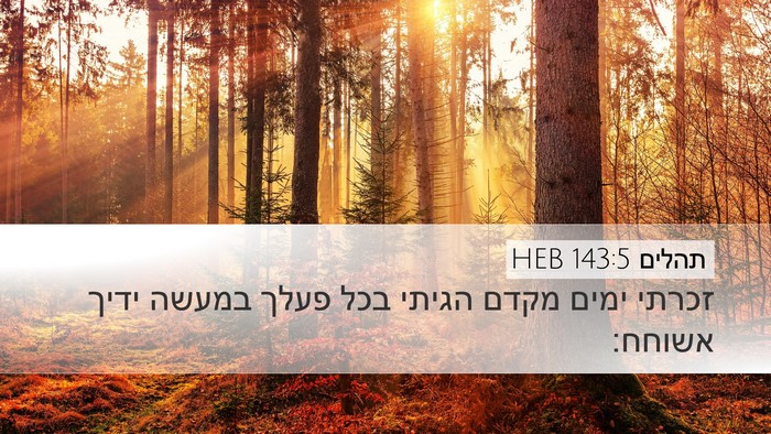 תהלים 143:5 HEB Desktop Wallpaper - זכרתי ימים מקדם הגיתי בכל - Desktop Bible Verse Wallpaper