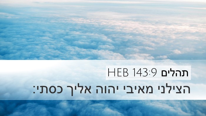 תהלים 143:9 HEB Bible Verse Image