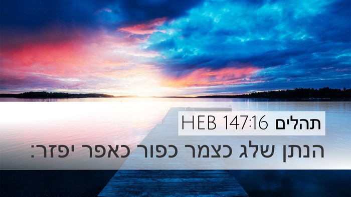 תהלים 147:16 HEB Desktop Wallpaper - הנתן שלג כצמר כפור כאפר - Desktop Bible Verse Wallpaper