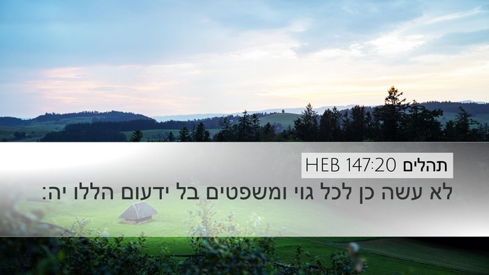 תהלים 147:20 HEB Bible Verse Image