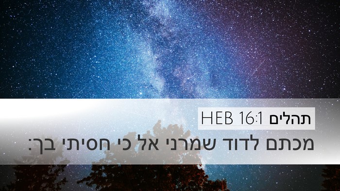 תהלים 16:1 HEB Desktop Wallpaper - מכתם לדוד שמרני אל כי חסיתי - Desktop Bible Verse Wallpaper