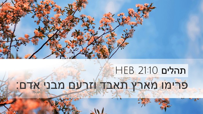 תהלים 21:10 HEB Desktop Wallpaper - פרימו מארץ תאבד וזרעם מבני - Desktop Bible Verse Wallpaper