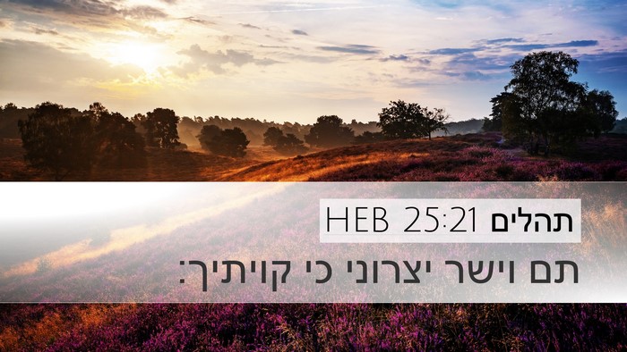 תהלים 25:21 HEB Bible Verse Image