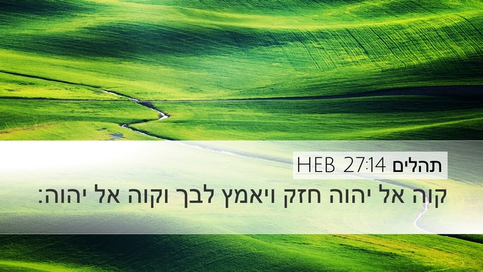 תהלים 27:14 HEB Bible Verse Image