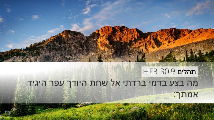 תהלים 30:9 HEB Bible Verse Image
