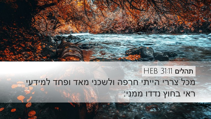 תהלים 31:11 HEB Bible Verse Image