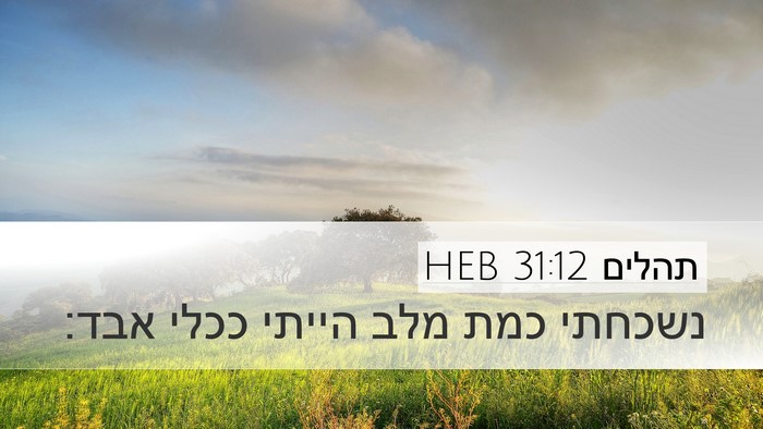 תהלים 31:12 HEB Bible Verse Image