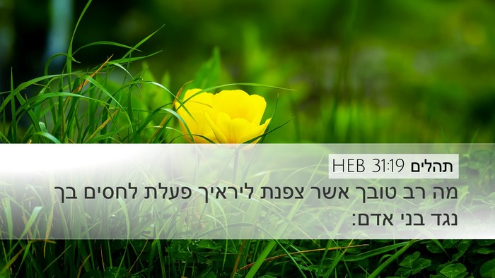 תהלים 31:19 HEB Bible Verse Image