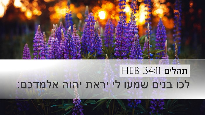 תהלים 34:11 HEB Bible Verse Image