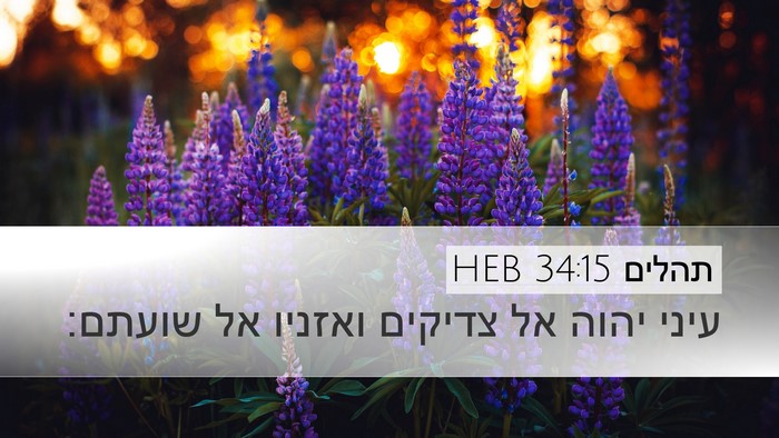תהלים 34:15 HEB Bible Verse Image