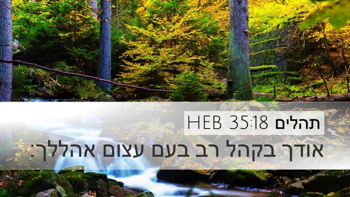 תהלים 35:18 HEB Bible Verse Image