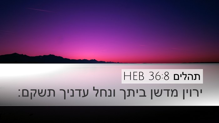 תהלים 36:8 HEB Bible Verse Image