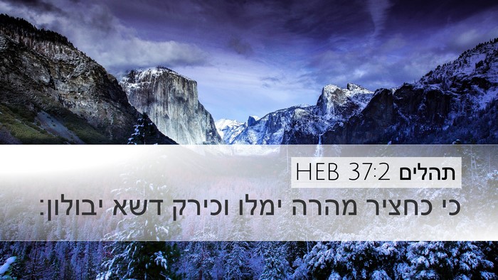 תהלים 37:2 HEB Bible Verse Image