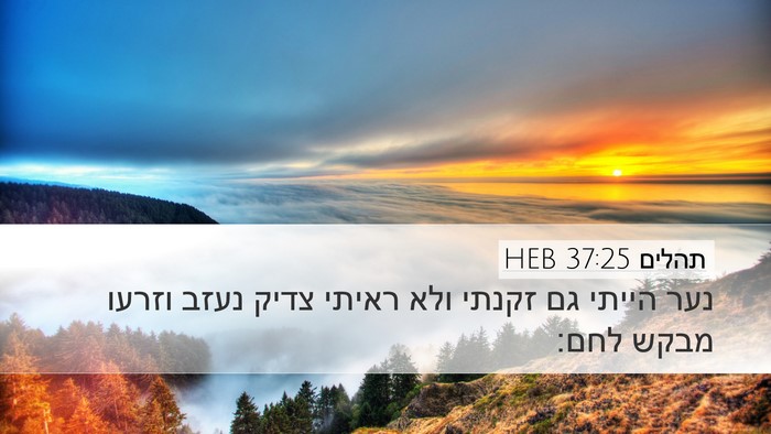 תהלים 37:25 HEB Bible Verse Image