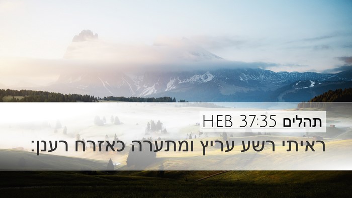 תהלים 37:35 HEB Bible Verse Image