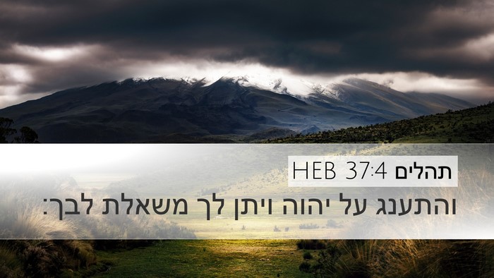 תהלים 37:4 HEB Bible Verse Image