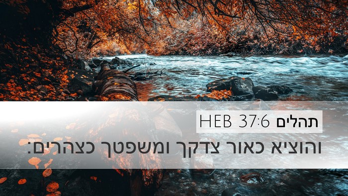 תהלים 37:6 HEB Bible Verse Image