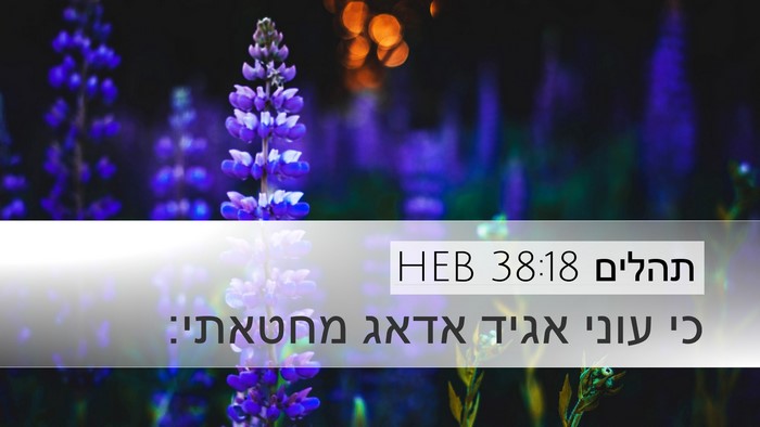 תהלים 38:18 HEB Bible Verse Image