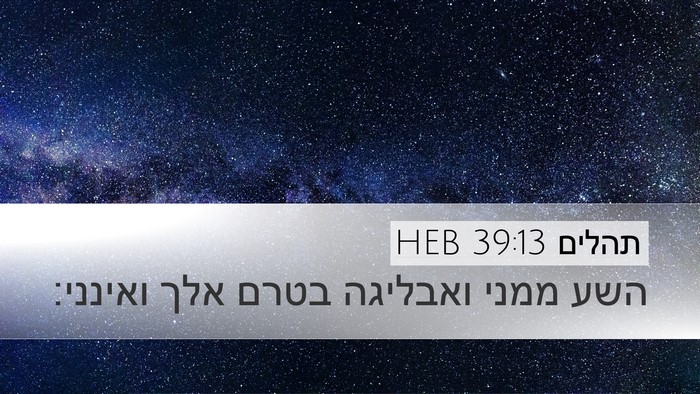 תהלים 39:13 HEB Bible Verse Image