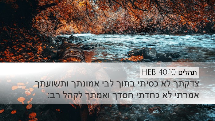 תהלים 40:10 HEB Desktop Wallpaper - צדקתך לא כסיתי בתוך לבי - Desktop Bible Verse Wallpaper