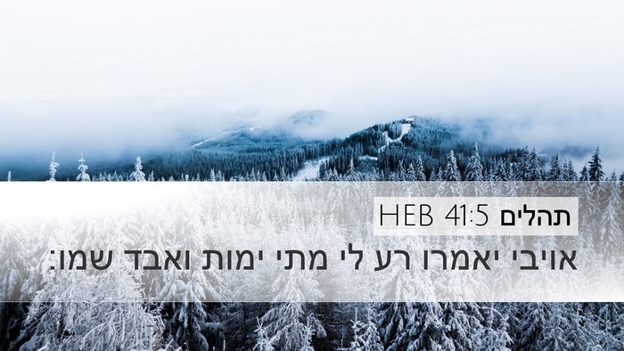 תהלים 41:5 HEB Desktop Wallpaper - אויבי יאמרו רע לי מתי ימות - Desktop Bible Verse Wallpaper