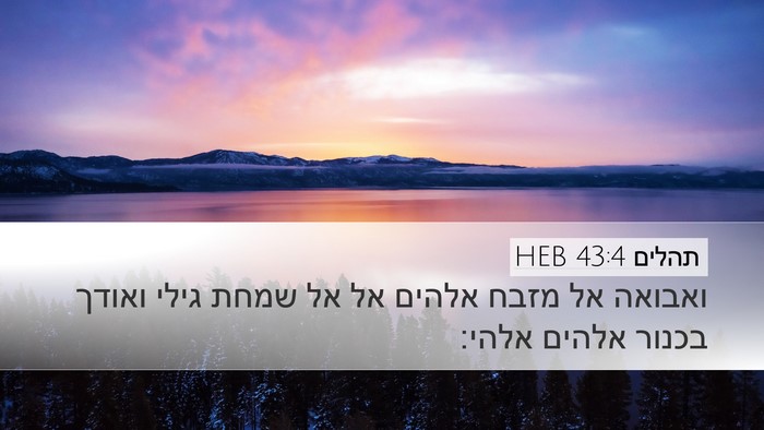 תהלים 43:4 HEB Bible Verse Image