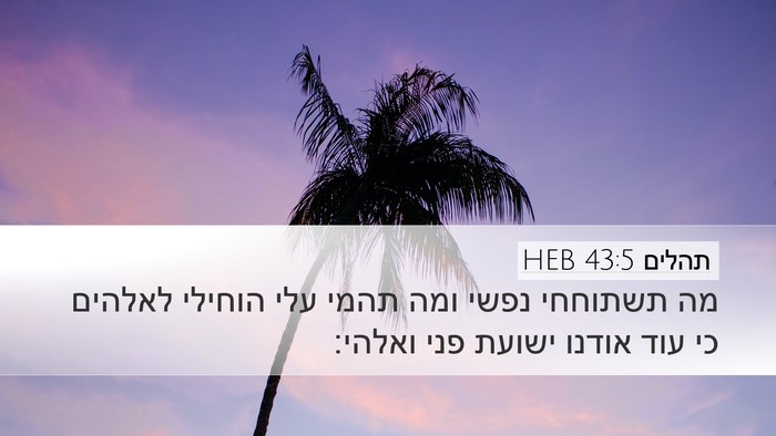 תהלים 43:5 HEB Bible Verse Image