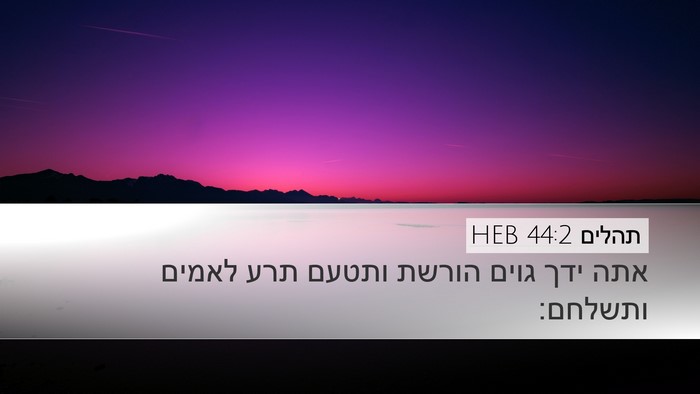 תהלים 44:2 HEB Bible Verse Image
