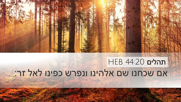 תהלים 44:20 HEB Bible Verse Image