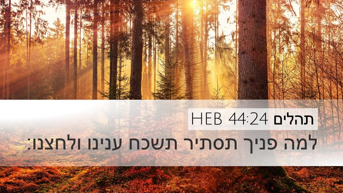 תהלים 44:24 HEB Bible Verse Image