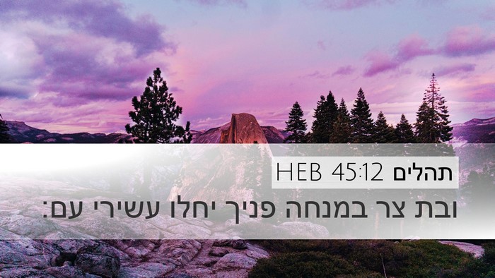 תהלים 45:12 HEB Bible Verse Image