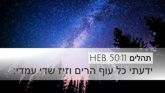 תהלים 50:11 HEB Desktop Wallpaper - ידעתי כל עוף הרים וזיז שדי - Desktop Bible Verse Wallpaper