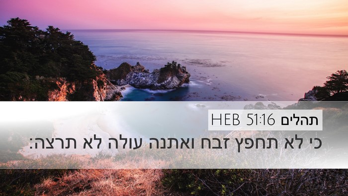 תהלים 51:16 HEB Bible Verse Image