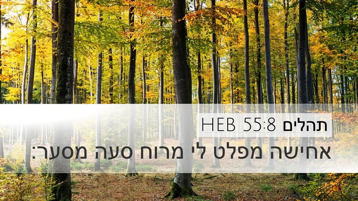 תהלים 55:8 HEB Desktop Wallpaper - אחישה מפלט לי מרוח סעה - Desktop Bible Verse Wallpaper