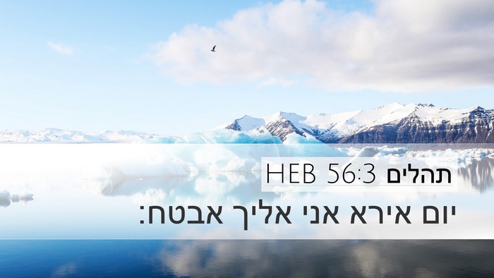 תהלים 56:3 HEB Bible Verse Image