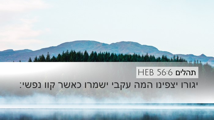 תהלים 56:6 HEB Bible Verse Image