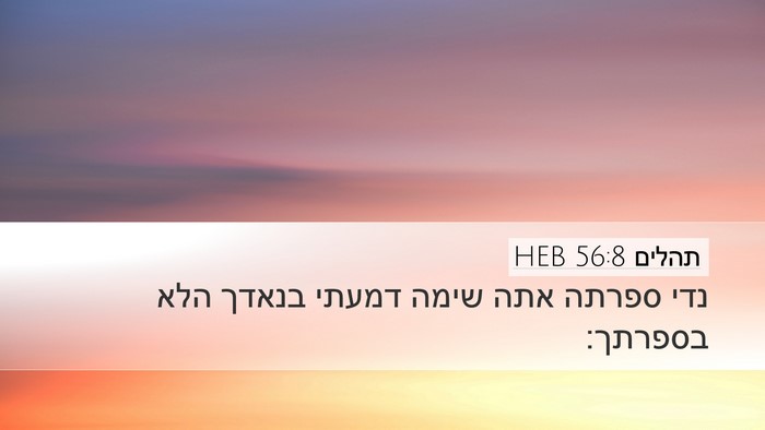 תהלים 56:8 HEB Bible Verse Image