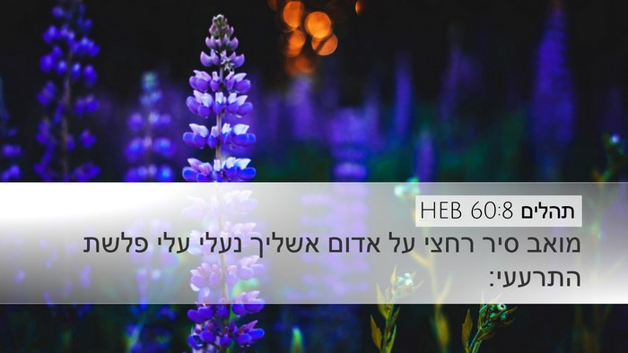 תהלים 60:8 HEB Bible Verse Image