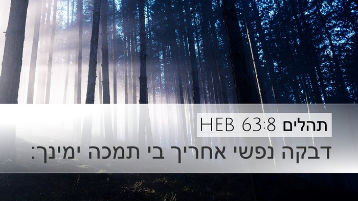 תהלים 63:8 HEB Bible Verse Image